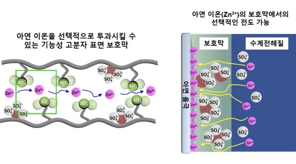 정수근 토토사이트 이온을 선택적으로 투과시킬 수 있는 기능성 고분자 표면 보호막 모식도
