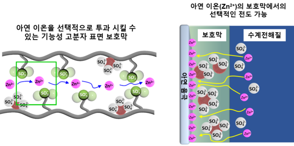 전화인증없는 토토사이트 이온을 선택적으로 투과시킬 수 있는 기능성 고분자 표면 보호막 모식도
