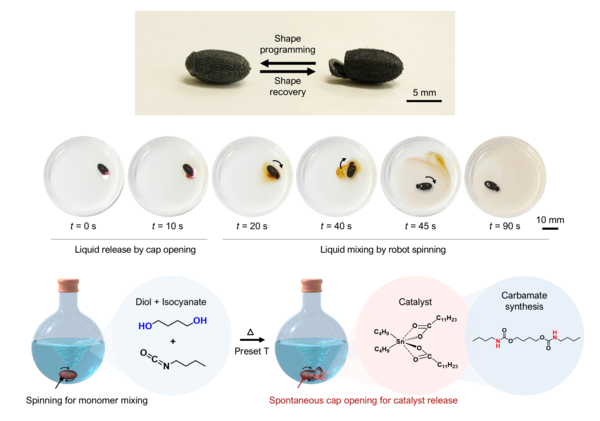▲ Professor Wie Jeong-jae’s 토토사이트 더베이 developed a technique for “remote-triggered catalytic release and chemical reaction initiation using shape-memory programming in sulfur-based soft robots.” © Professor Wie Jeong-jae’s research 토토사이트 더베이