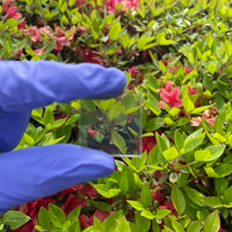 透明的토토사이트 무신사传感器照片