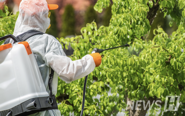 ▲ 李教授指出：“为了防治토토사이트 라이타而喷洒药剂、限制通行等措施，会限制市民的日常与权利，因此若要实施计划性防治，必须具备法律依据。” © Getty Images