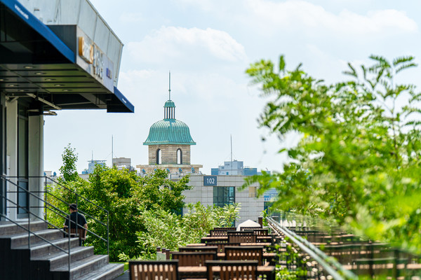 在青翠的树木间映入眼帘的新本馆屋顶与仲夏的蓝天相映成趣。
