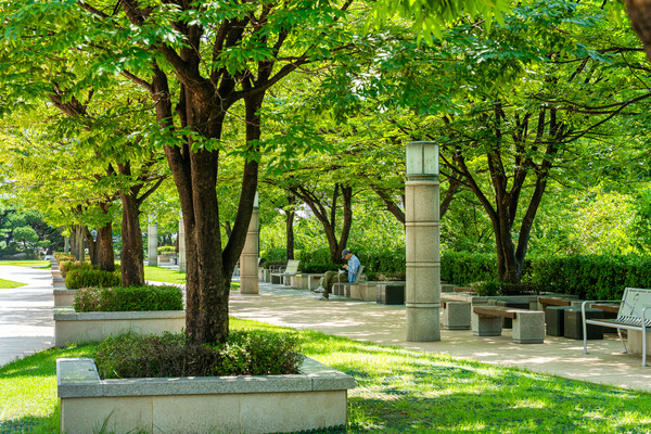 在凉爽的林荫道长椅上短暂休憩的学生的身影。
