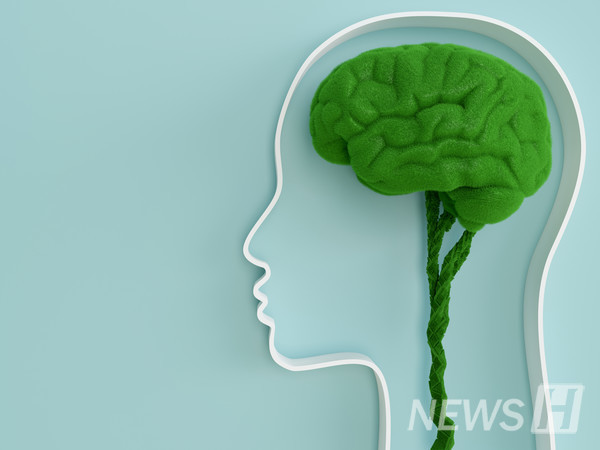 ▲ “Exercise and 마스터 토토사이트 are inseparable from mental health,” Professor Kim emphasized. © Getty Images