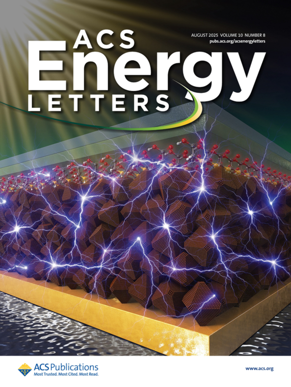 국제 학술지 ‘ACS Energy Letters’ 2025년 8월호 표지 이미지