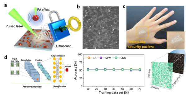 (a) Overview of the security authentication device using the photoacoustic effect. (b) Electron microscope image of the nanoparticle composite. (c) Photo of the wearable device and the security pattern extracted from a hand. (d) Simulation of AI machine-learning attacks using CNN, and the proposed device's attack resistance performance.
