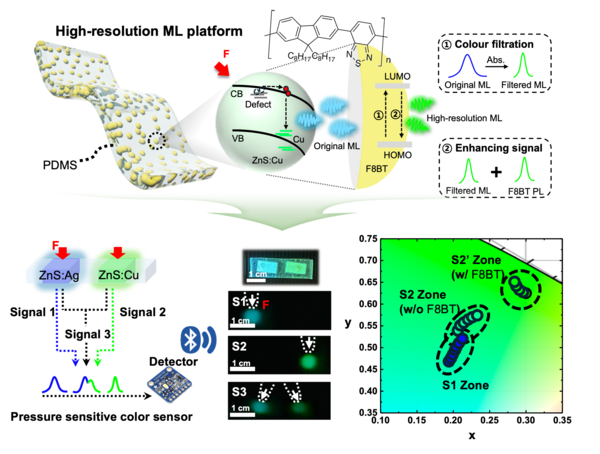 (Top) High-resolution ML sensing platform utilizing the multi-functional chromatic filtering strategy of the conjugated polymer shell. (Bottom) Signal separation function of pressure-sensitive multi-signal haptic sensors for blue and green emissions.