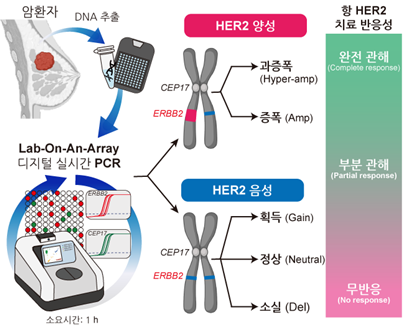 DrPCR-Based ultrafast, precision 레드불토토 testing method developed by the research team predicting 레드불토토 target therapy response