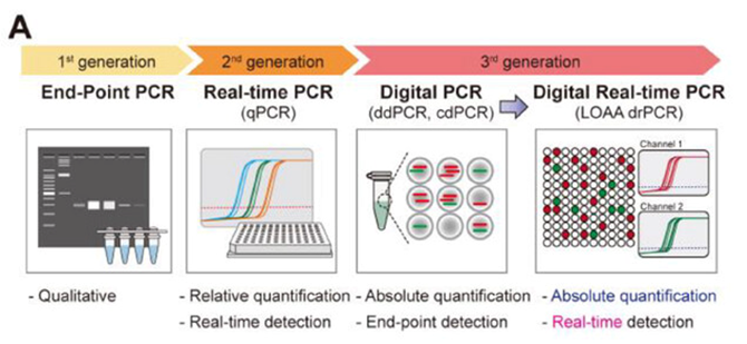 ‘Lab-On-An Array’ drPCR Technology Concept Map