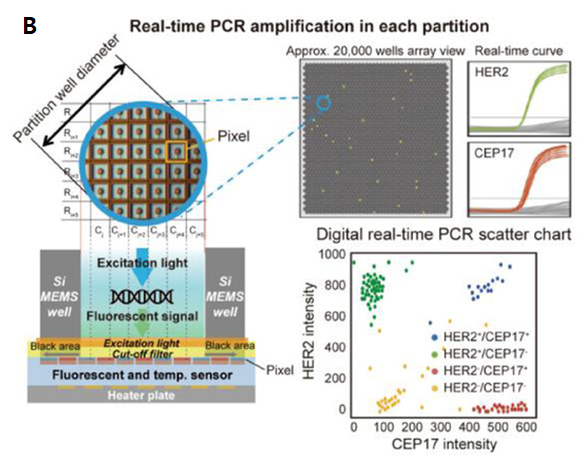 ‘Lab-On-An Array’ drPCR Technology Concept Map