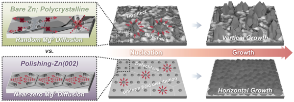 Difference in 롤 스포츠토토 deposition mechanisms between polycrystalline zinc current collectors (top) and single-crystal zinc (002) current collectors (bottom) 