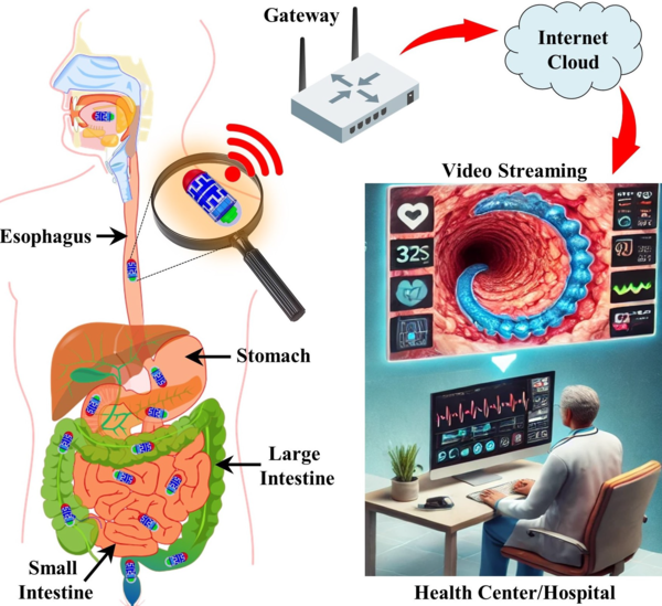 Conceptual diagram of real-time image transmission in capsule endoscopy using ISAC 