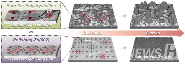 ▲ 기존의 집전체는 가시 모양의 덴드라이트가 발생했다(위). 단결정 아연(002) 집전체는 마그네슘과 호환성이 뛰어나 덴드라이트를 억제할 수 있다(아래). ⓒ 임희대 교수