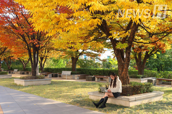 ▲ 가을 단풍을 즐기며 야외에서 과제를 하는 학생.