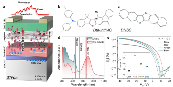 (a) Image of the STFGS 토토사이트 db 해킹. (b) Dta-Inth-IC organic semiconductor applied to the floating-gate. (c) Chemical structure image of the DNSS organic semiconductor material used as the channel material. (d) Ultraviolet-Visible (UV-Vis) spectrophotometer analysis of organic materials with different absorption regions. (e) Transfer curves of the STFGS 토토사이트 db 해킹 under various light conditions. 