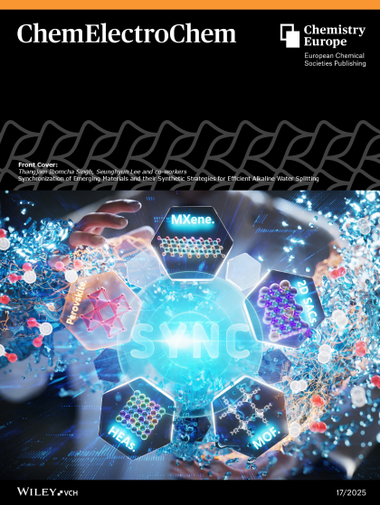 ChemElectroChem: Volume 12, Issue 17 표지 논문 이미지