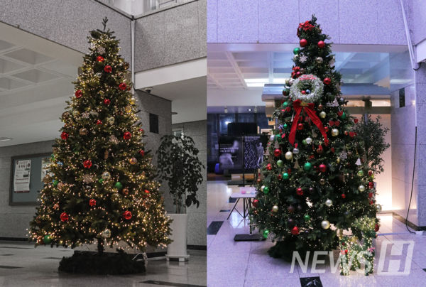 ▲ 生活科学馆大厅里设置的圣诞树以更加多彩的装饰带来了变化。