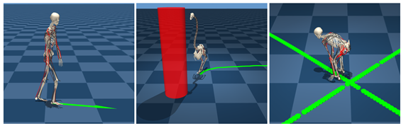 Humanoid, animal, and virtual musculoskeletal characters performing various tasks with loco토토사이트 토토나라 strategies tailored to their physical structures through FreeMusco. 