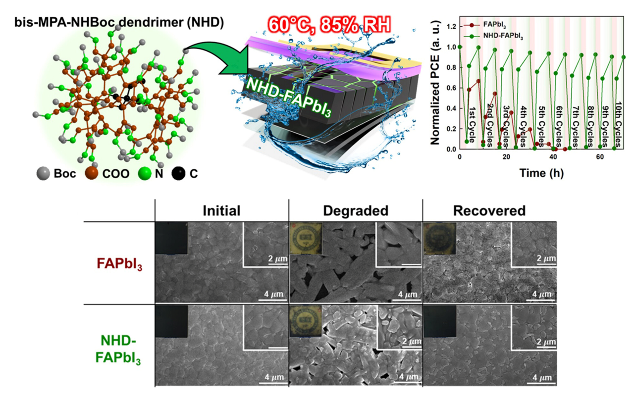 ▲ The recovery process