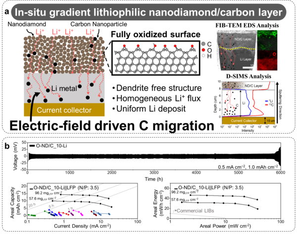 ▲ (a) 리튬금속전지 음극을 위한 친리튬성 나노다이아몬드/탄소나노입자 전도도 구배 이중층의 모식도. (b) 전도도 구배 이중층 전략을 적용한 실제 리튬금속전지 성능.