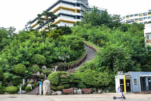 [포토스토리] 한양대 서울캠퍼스, 위대한 경사의 계단들