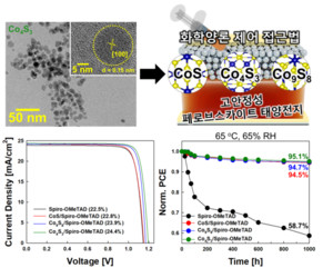 HYU Team Repurposes Mining By-product ‘Cobalt Sulfide’ as a Core ...